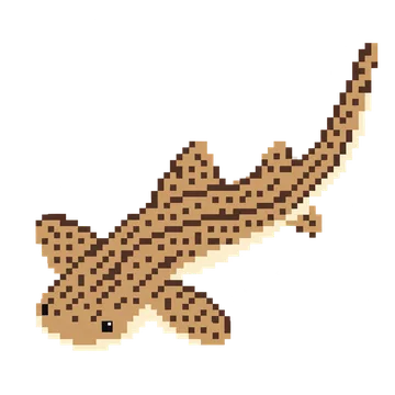Zebra Shark Tail — Ocean Wonders patterns
