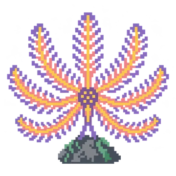 Feather Star — Ocean Wonders patterns