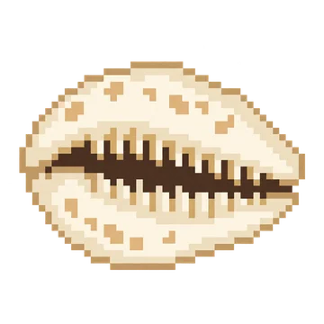 Cowrie Shell — Ocean Wonders patterns