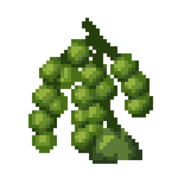 Sea Grapes — Ocean Wonders patterns