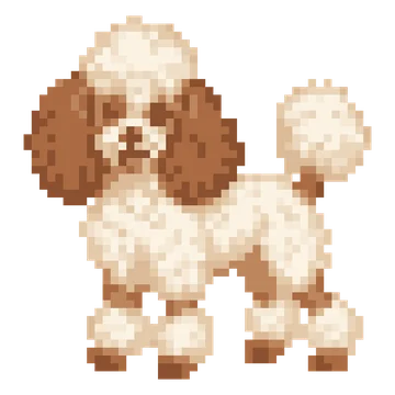 Curly Poodle — Pet Friends patterns