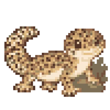 Leopard Gecko — Pet Friends patterns