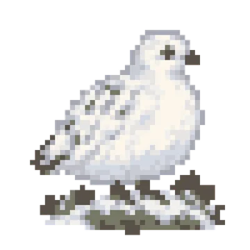 Puff Chest Ptarmigan — Pet Friends patterns