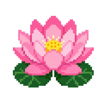 Pink Lotus — Plants & Nature patterns