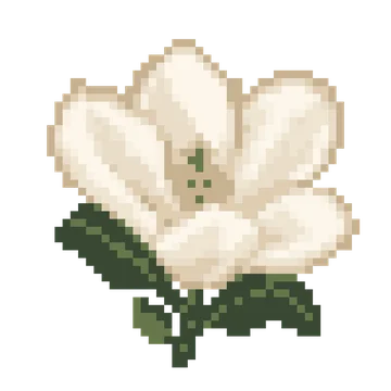 White Magnolia — Plants & Nature patterns