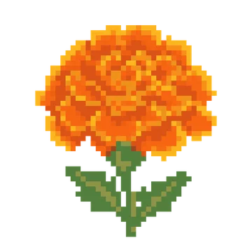 Orange Marigold — Plants & Nature patterns
