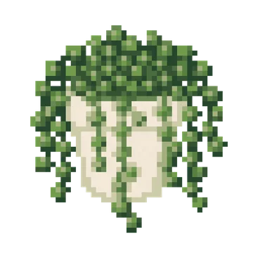 String of Pearls Plant — Plants & Nature patterns