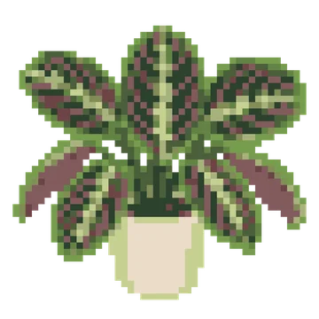 Prayer Plant — Plants & Nature patterns