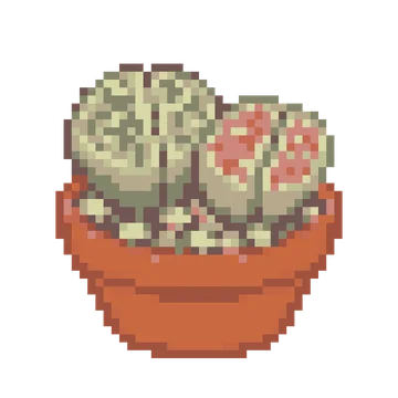 Lithops Pair — Plants & Nature patterns
